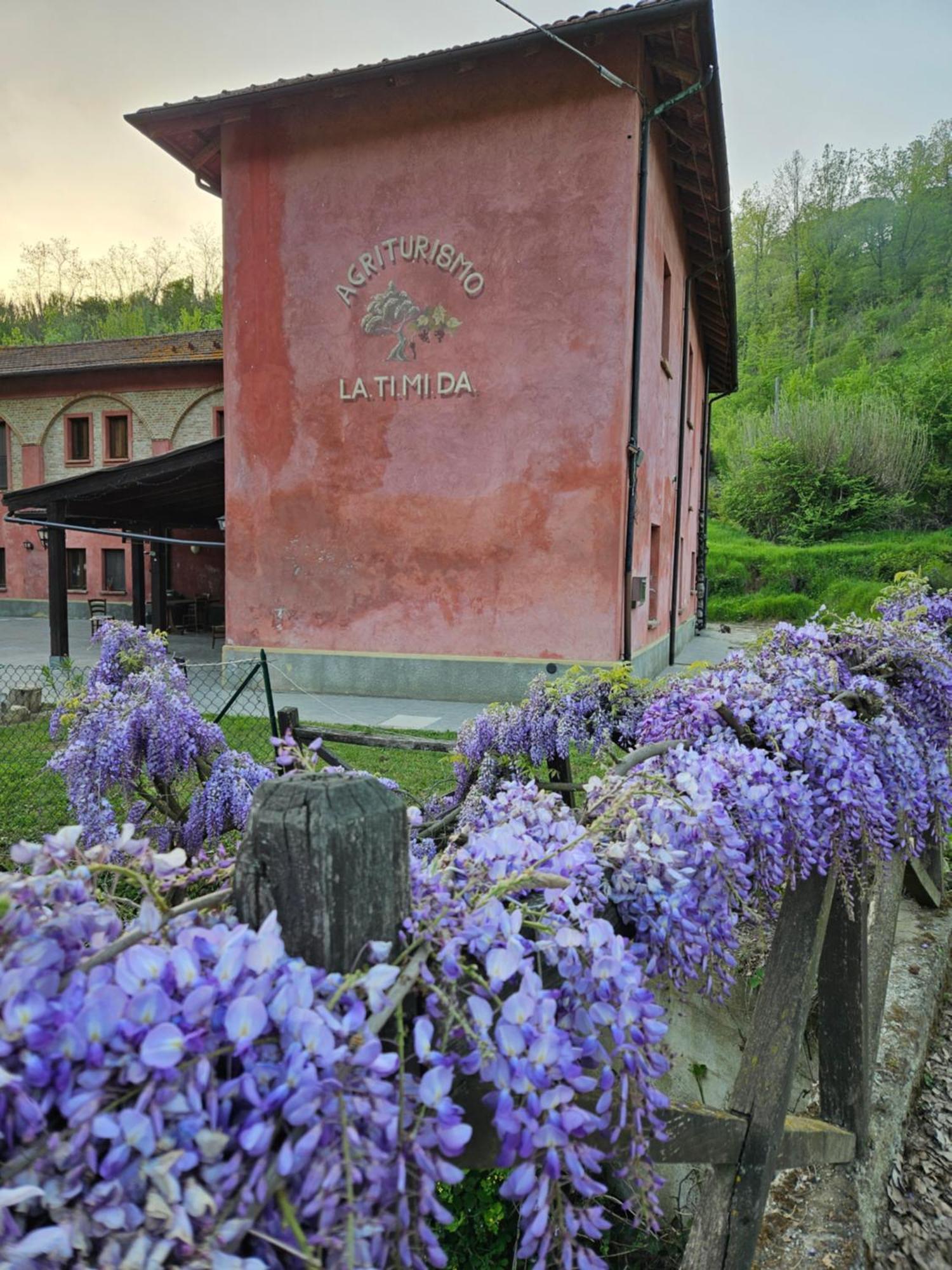 Agriturismo La.Ti.Mi.Da. Cassine Exterior foto
