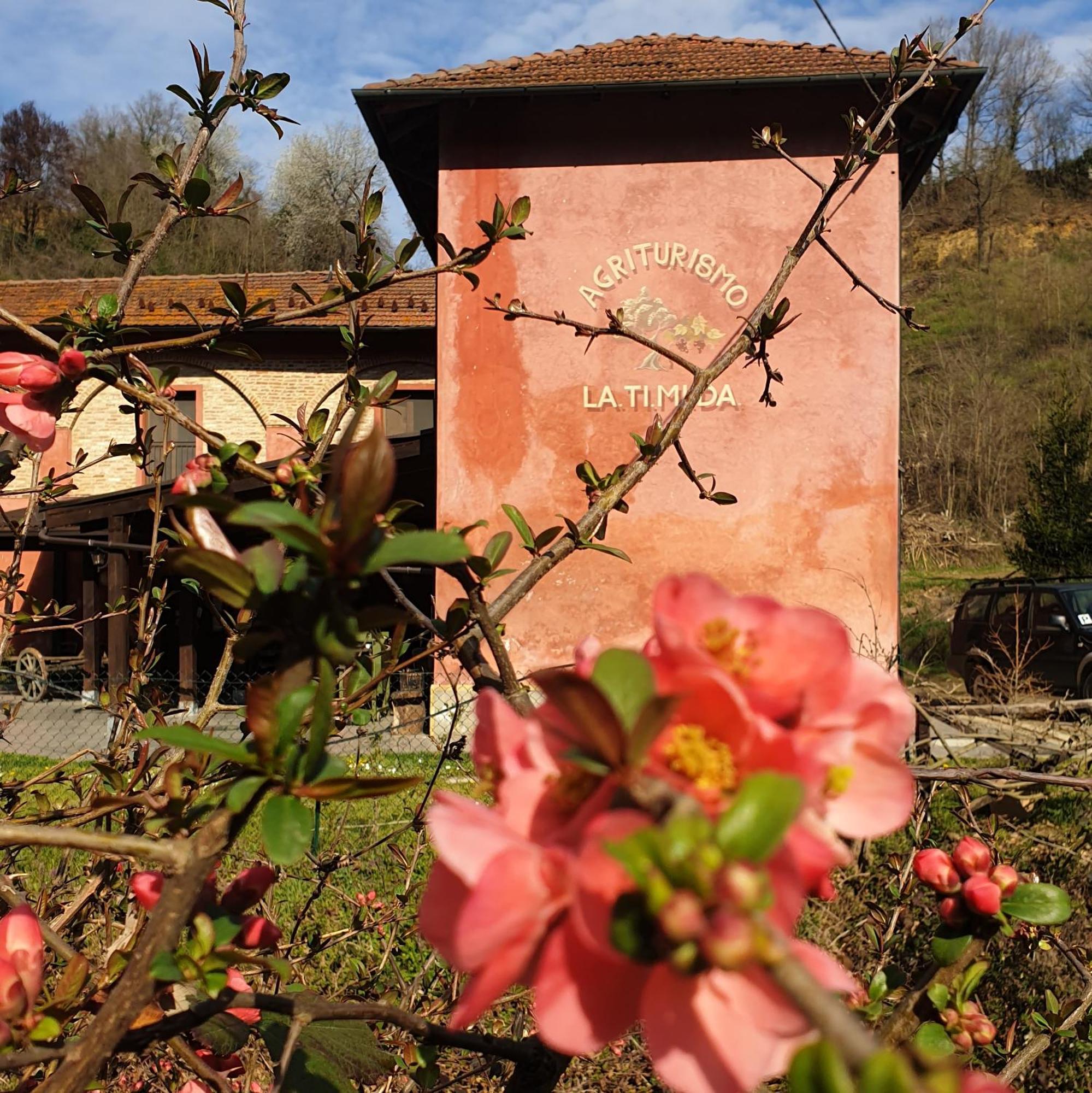 Agriturismo La.Ti.Mi.Da. Cassine Exterior foto